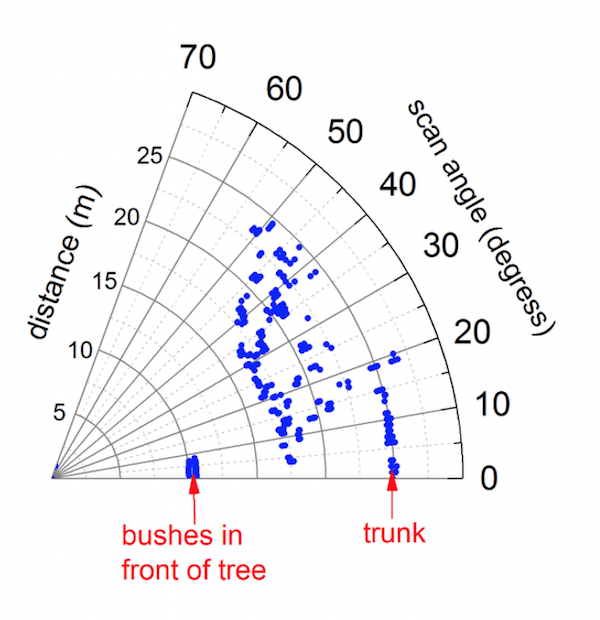 Polar plot of tree scan.